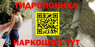 прущие крисы Камышлов