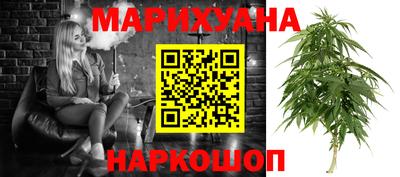 прущие крисы Камышлов