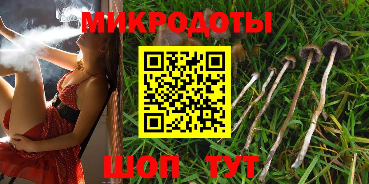 Псилоцибиновые грибы GOLDEN TEACHER  Вход с VPN  Заринск 